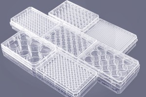 Cell Culture Plates, Dishes and Flasks