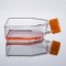 TC-Treated Cell Culture Flasks, Seal Cap, 25cm2 (100pcs)