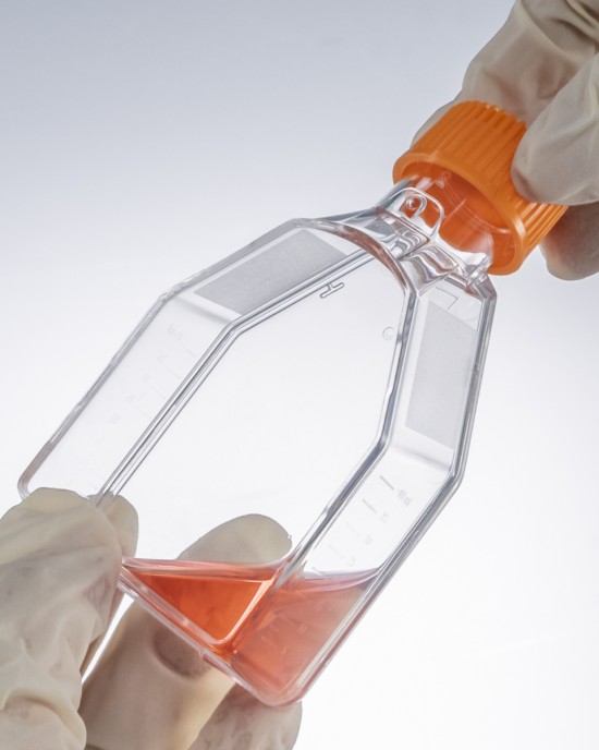 TC-Treated Cell Culture Flasks, Vent Cap, 25cm2 (100pcs)