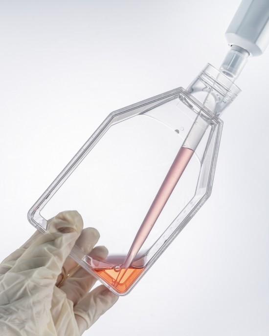 TC-Treated Cell Culture Flasks, Vent Cap, 75cm2 (100pcs)
