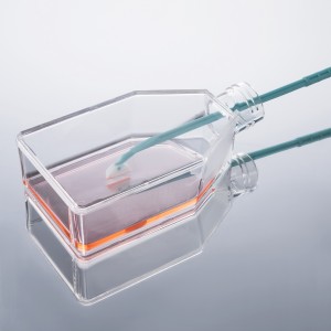 TC-Treated Cell Culture Flasks, Vent Cap, 75cm2 (100pcs)