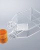 TC-Treated Cell Culture Flasks, Seal Cap, 75cm2 (100pcs)