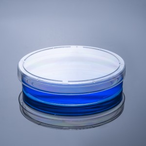 Apostle TC-treated Sterile Cell Culture Dishes 100mm (200pcs)