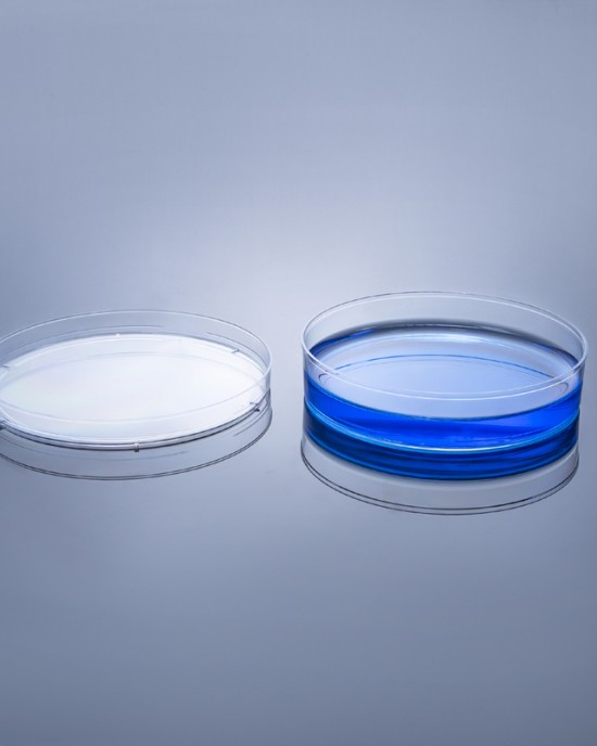TC-treated Cell Culture Dishes, 100mm (100pcs)