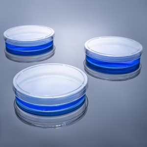 Apostle TC-treated Sterile Cell Culture Dishes 100mm (200pcs)