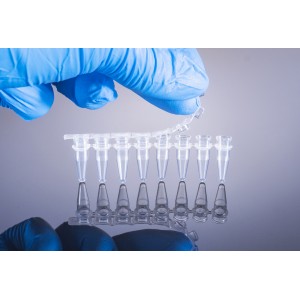 Sterile 8-Strip PCR Tubes, 0.20mL (250 pcs, Hinged-cap)