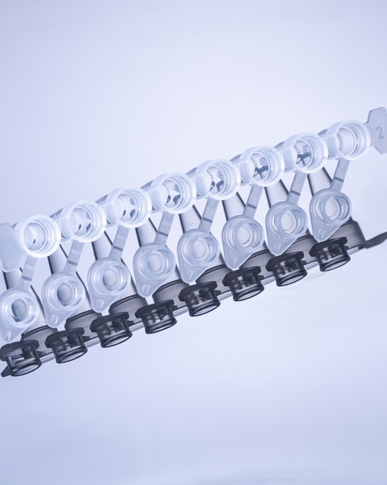 Sterile 8-Strip PCR Tubes, 0.20mL (240 pcs, Individual-cap)