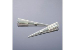 Pipette Tips