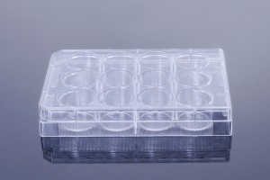 Apostle TC-treated Sterile Multiple Well Plates 12-well (50pcs, Flat-bottom, Individually wrapped)