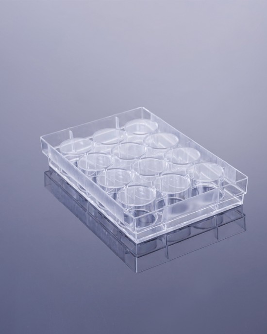 TC-treated 12-Well Cell Culture Plates (50pcs, Flat-bottom, Individually wrapped)