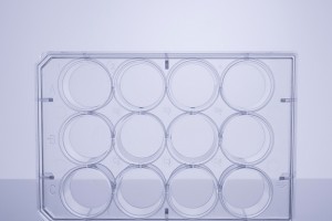 TC-treated 12-Well Cell Culture Plates (50pcs, Flat-bottom, Individually wrapped)