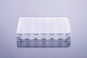 TC-treated 24-Well Cell Culture Plates (50pcs, Flat-bottom, Individually wrapped)