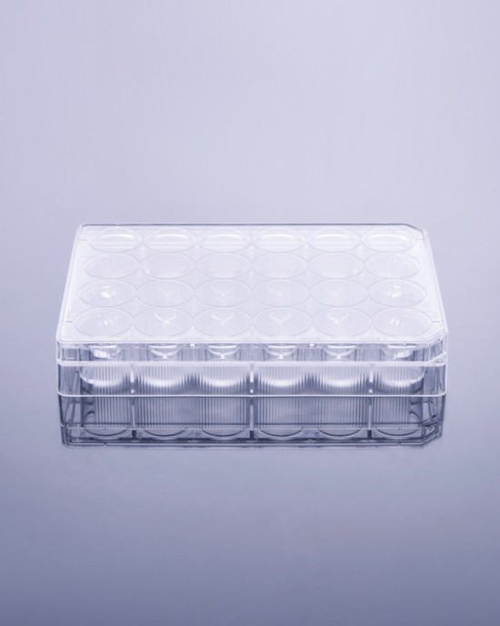 TC-treated 24-Well Cell Culture Plates (50pcs, Flat-bottom, Individually wrapped)
