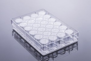 Apostle TC-treated Sterile Multiple Well Plates 24-well (50pcs, Flat-bottom, Individually wrapped)