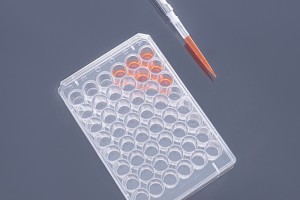 Apostle TC-treated Sterile Multiple Well Plates 48-well (50pcs, Flat-bottom, Individually wrapped)