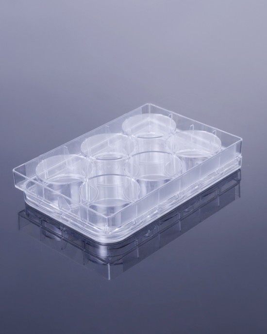 TC-treated 6-Well Cell Culture Plates (50pcs, Flat-bottom, Individually wrapped)