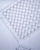 TC-treated 96-Well Cell Culture Plates (50pcs, U-bottom, Individually wrapped)
