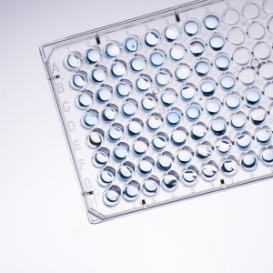 TC-treated 96-Well Cell Culture Plates (50pcs, Flat-bottom, Individually wrapped)