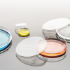Cell Culture Dishes