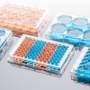 Cell Culture Plates