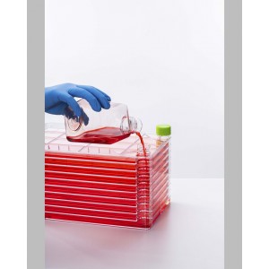 10-Layer Cell Culture Chamber (6 pcs, individually packaged)