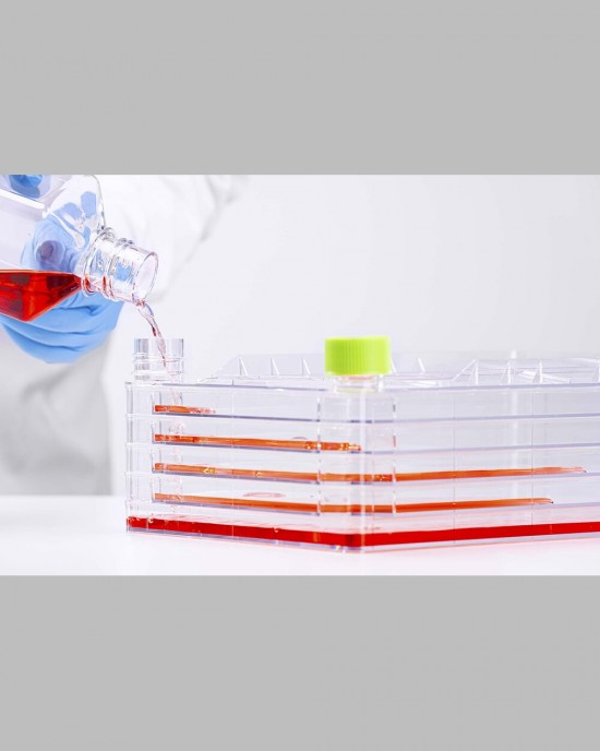 5-Layer Cell Culture Chamber (10 pcs, individually packaged)