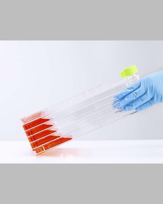 5-Layer Cell Culture Chamber (10 pcs, individually packaged)