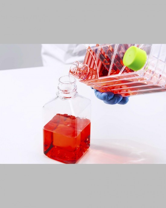 5-Layer Cell Culture Chamber (10 pcs, individually packaged)