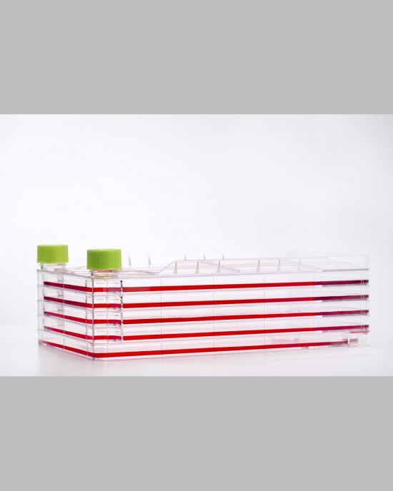 5-Layer Cell Culture Chamber (10 pcs, individually packaged)