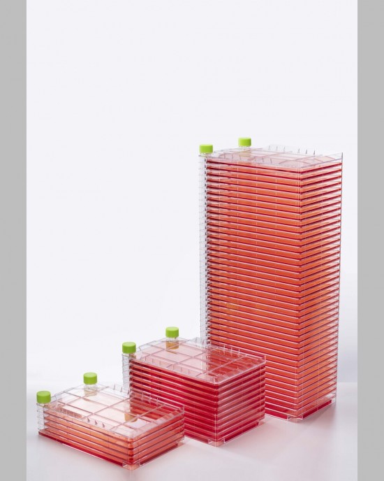 40-Layer Cell Culture Chamber (2 pcs, individually packaged)