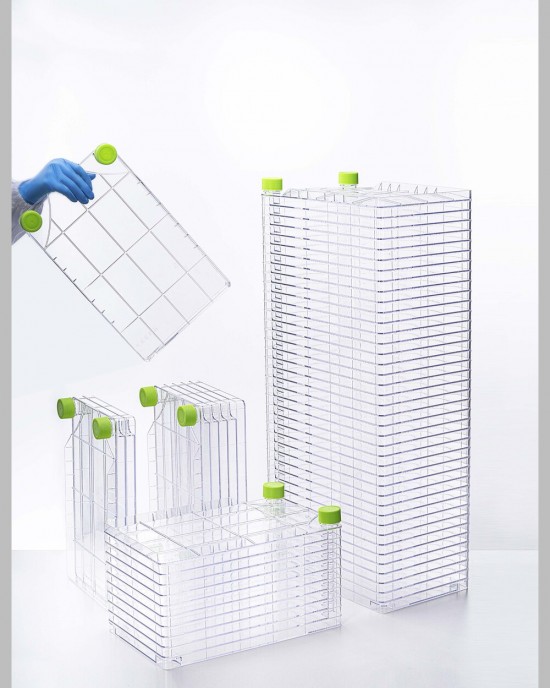 10-Layer Cell Culture Chamber (6 pcs, individually packaged)