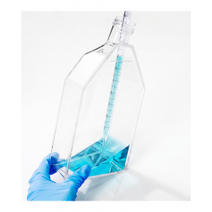 175 cm2 Cell Culture Flasks, Vented Cap, TC-Treated (50 pcs)