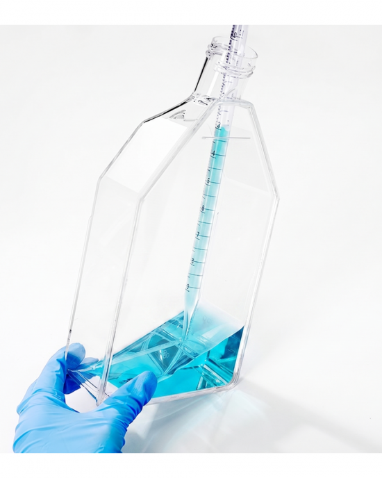 175 cm2 Cell Culture Flasks, Vented Cap, TC-Treated (50 pcs)
