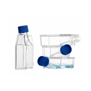 25 cm2 Cell Culture Flasks, Sealed Cap, TC-Treated (300 pcs)