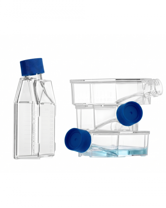 25 cm2 Cell Culture Flasks, Sealed Cap, TC-Treated (300 pcs)