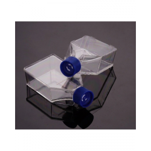 25 cm2 Cell Culture Flasks, Vented Cap, TC-Treated (300 pcs)