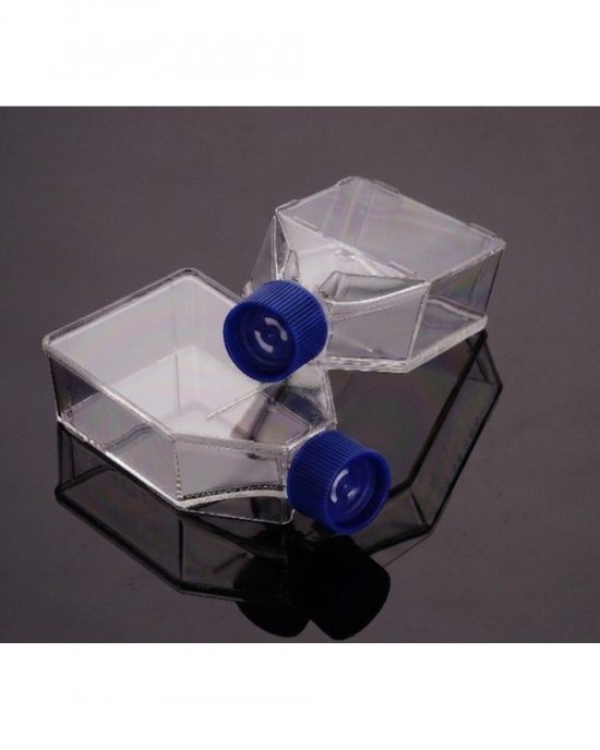25 cm2 Cell Culture Flasks, Vented Cap, TC-Treated (300 pcs)