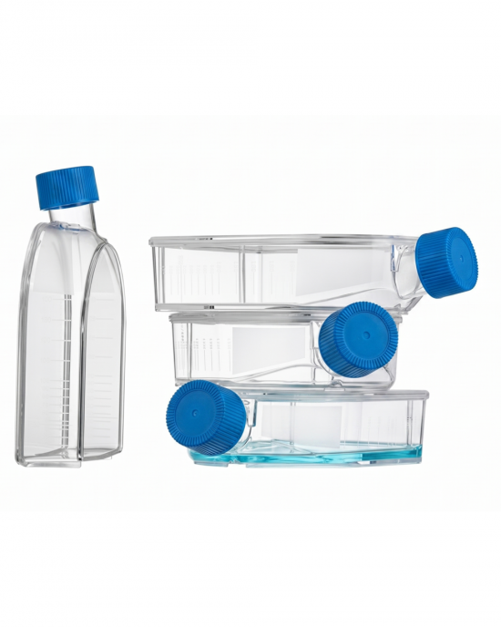 75 cm2 Cell Culture Flasks, U-Shaped, Sealed Cap, TC-Treated (90pcs)