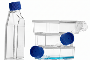 75 cm2 Cell Culture Flasks, Sealed Cap, TC-Treated (90 pcs)