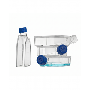 75 cm2 Cell Culture Flasks, U-Shaped, Vented Cap, TC-Treated (90pcs)
