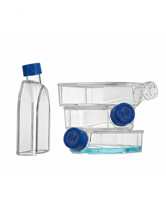 75 cm2 Cell Culture Flasks, U-Shaped, Vented Cap, TC-Treated (90pcs)