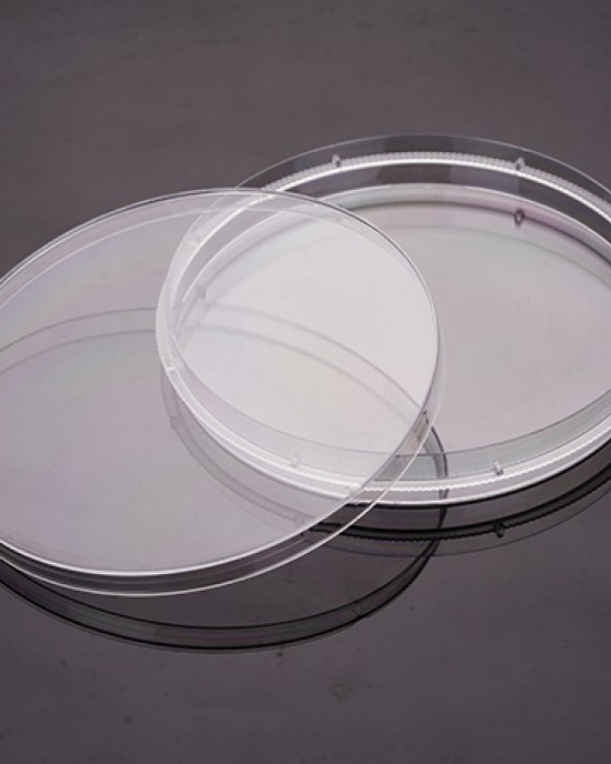TC-treated Cell Culture Dishes with Grip ring, 150mm (80pcs)