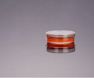 TC-treated Cell Culture Dishes, 35mm (500pcs)