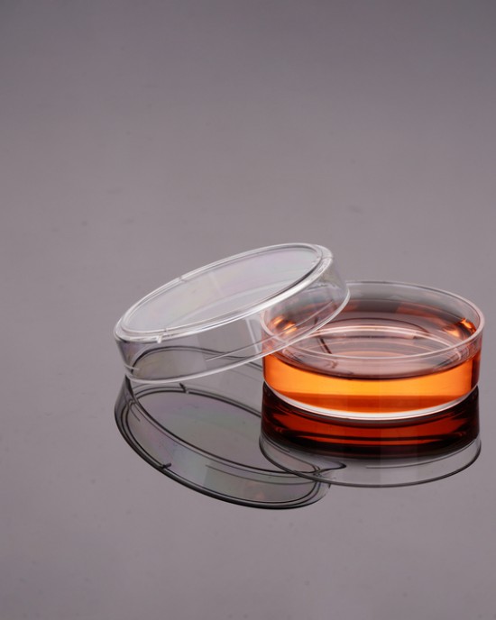 TC-treated Cell Culture Dishes, 35mm (500pcs)