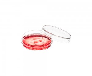 TC-treated Cell Culture Dishes with Grip ring, 35mm (500pcs)