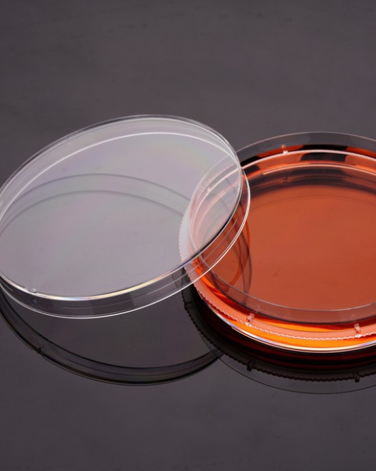 TC-treated Cell Culture Dishes with Grip ring, 100mm (300pcs)