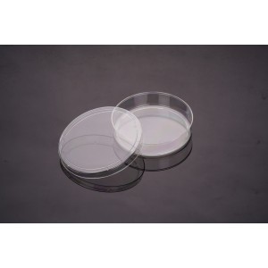 TC-treated Cell Culture Dishes, 100mm (300pcs)