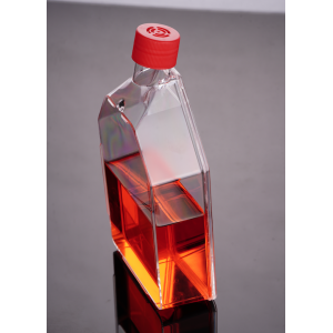 175 cm2 Cell Culture Flasks, Vented Cap, TC-Treated (50 pcs)