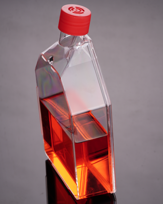 175 cm2 Cell Culture Flasks, Vented Cap, TC-Treated (50 pcs)