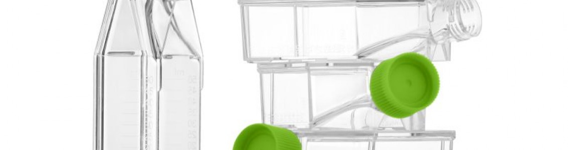 Cell Culture Flasks